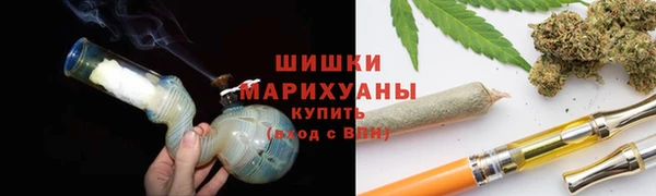 дживик Касимов