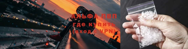 дживик Касимов