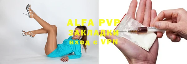 дживик Касимов
